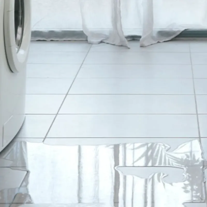 Appliance Leak Cleanup in Franklin, KY