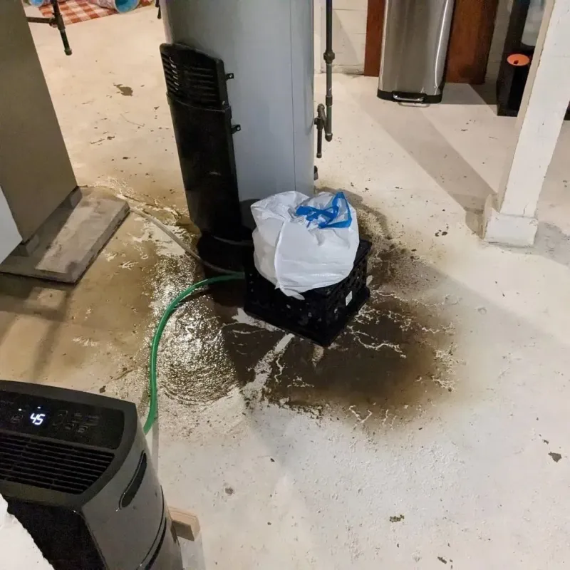 Sewage Backup Cleanup Service in Franklin, KY